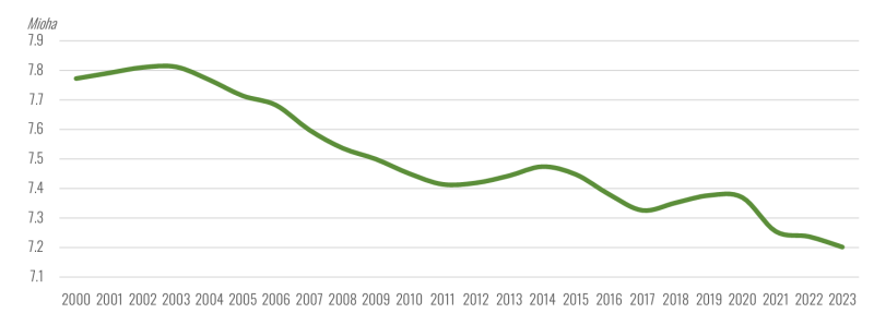 Évolution de la superficie du vignoble mondial