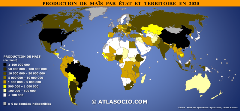 Production de maïs par état et territoire en 2020