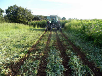 Strip-till